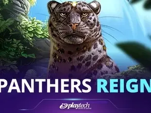 Panther's Reign